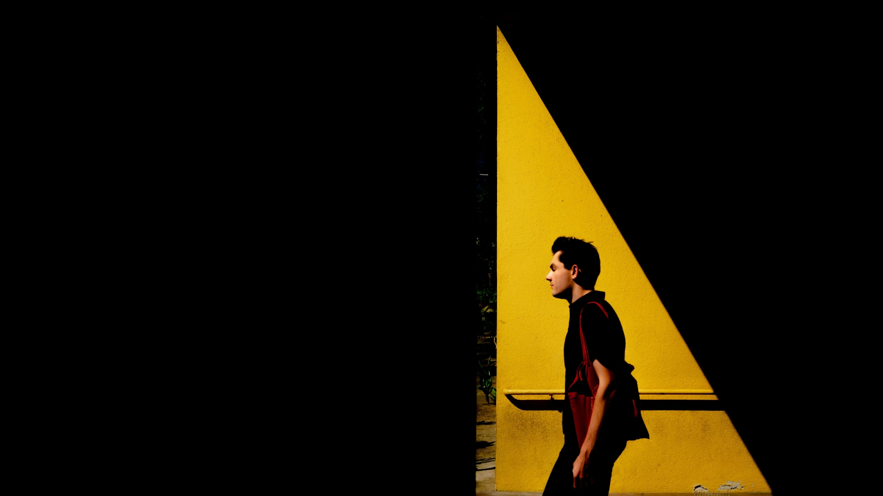 Consulting et Formation | Les Frères Salamon