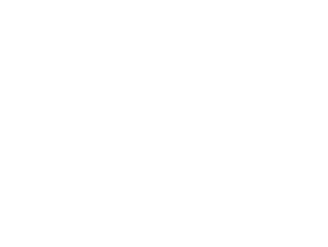 visualisation du logo modulaire Les Frères Salamon